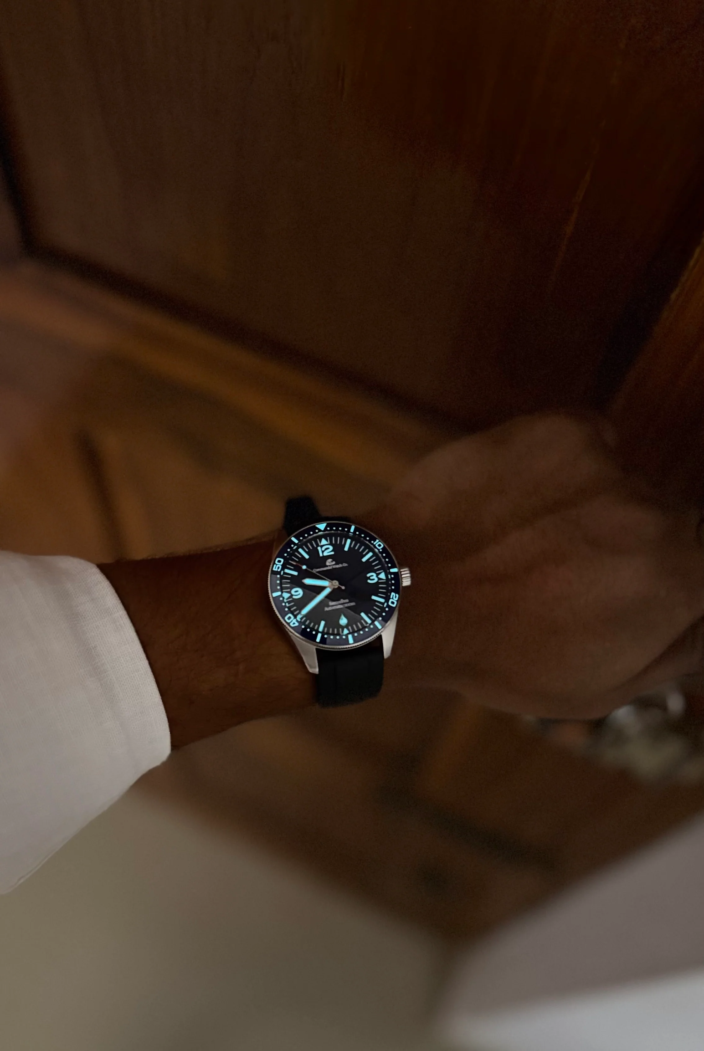 Samudhra V2 - Automatic Divers Watch - 200M - BGW9 - Curved Sapphire Crystal - Image 16