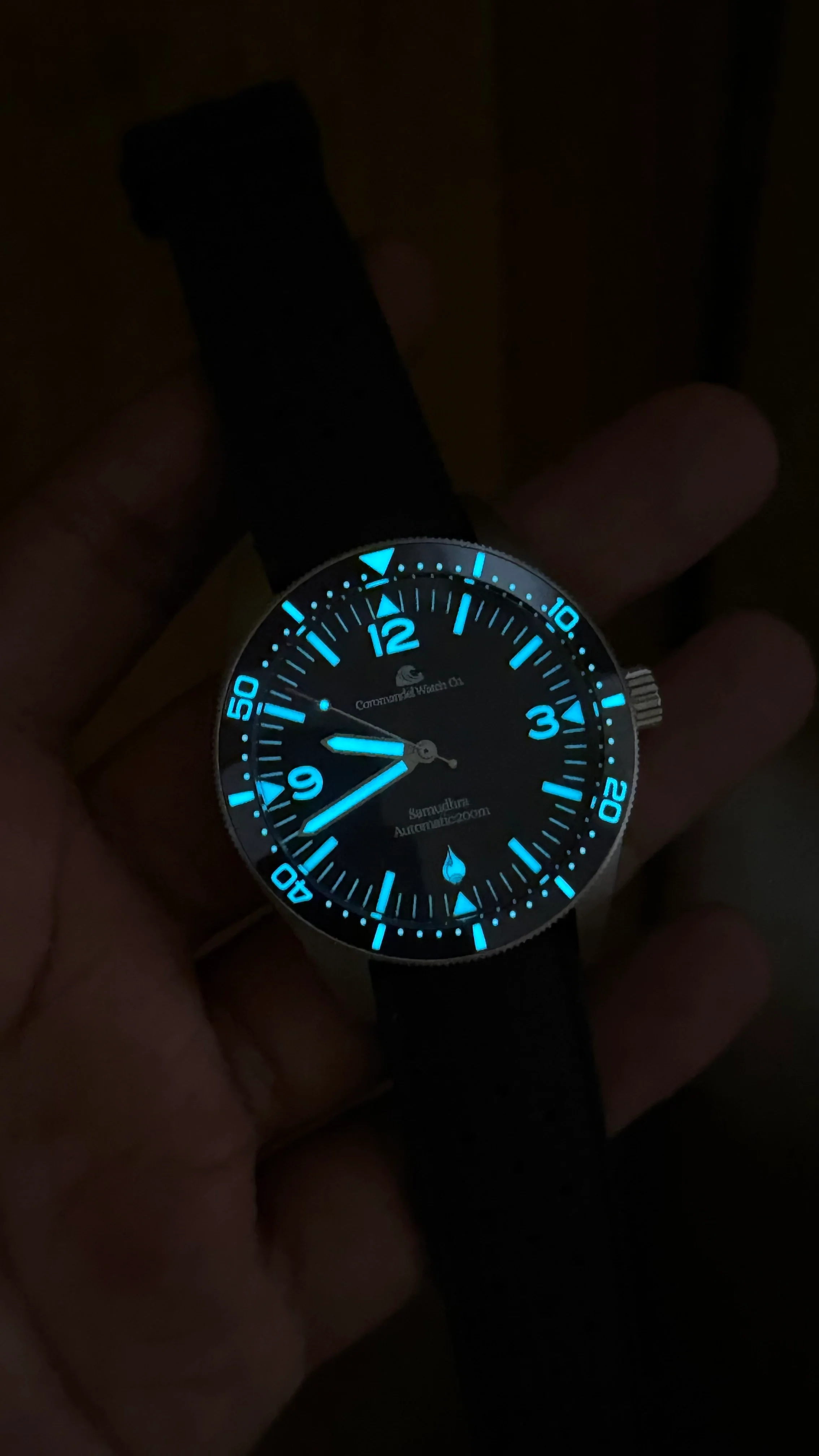 Samudhra V2 - Automatic Divers Watch - 200M - BGW9 - Curved Sapphire Crystal - Image 7